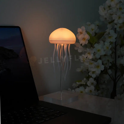 Floating Jellyfish Lamp Jellyflow