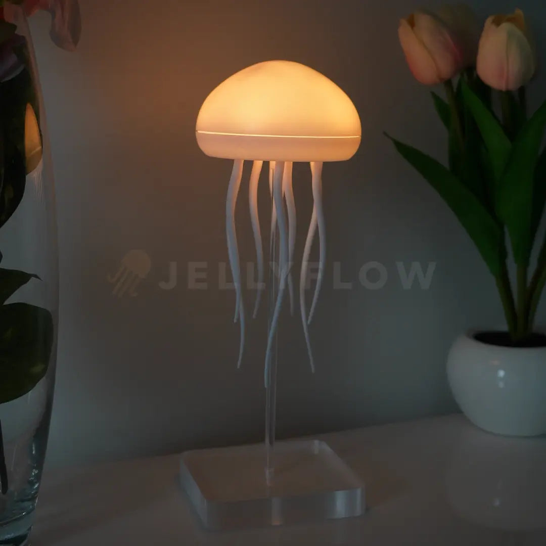 Floating Jellyfish Lamp Jellyflow