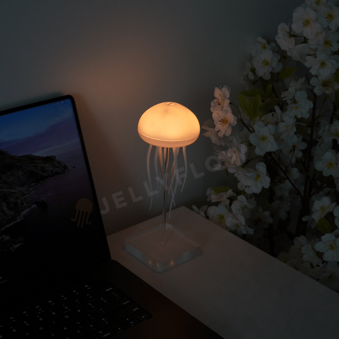 Floating Jellyfish Lamp (Double Pack) - Jellyflow