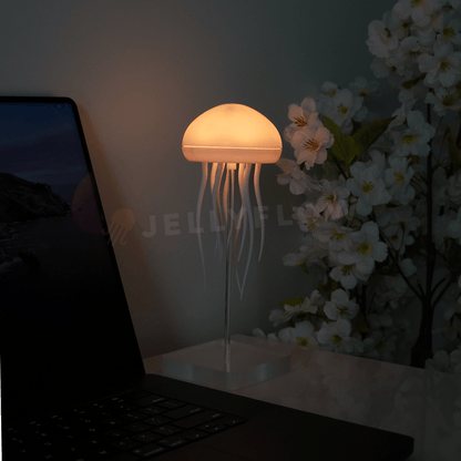 Floating Jellyfish Lamp (Double Pack) - Jellyflow