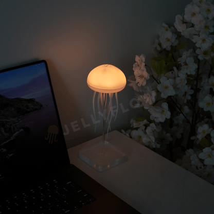 Floating Jellyfish Lamp (Single Pack) - Jellyflow